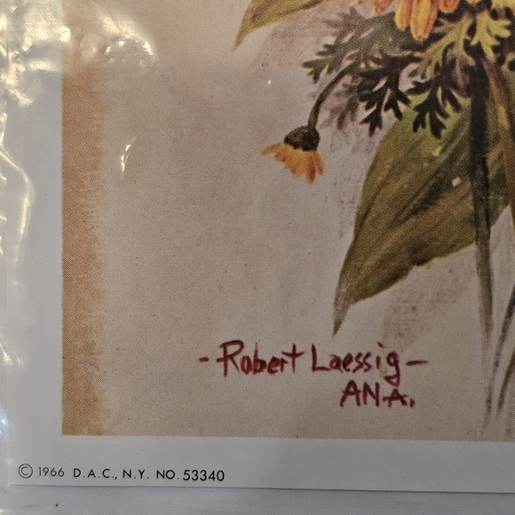 VTG 1966 Art Treasures Print by Robert Laessig - ANA 13" x 5" Framing Decoupage - Picture 6 of 7